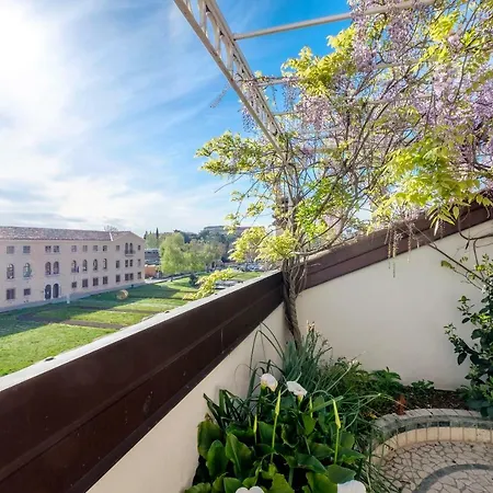 Penthouse In The Centre Daire